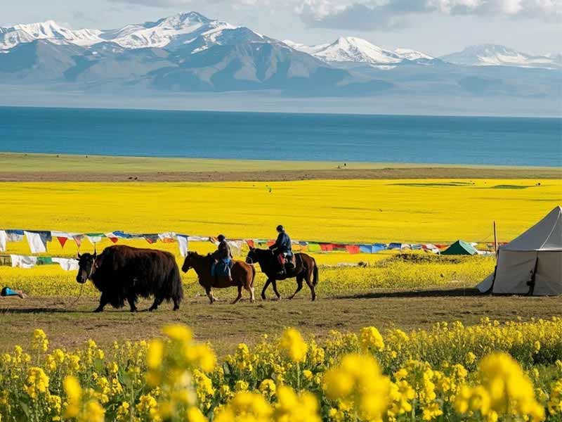 宁夏沙漠亲子成长之旅