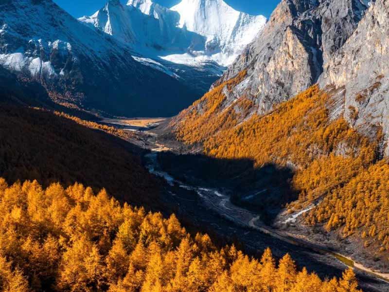 青海湖环线生态探索之旅