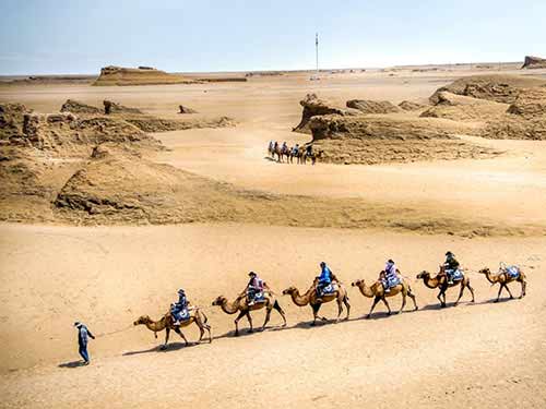 迹远与甘肃省文旅厅合作开发丝路遗产研学体系